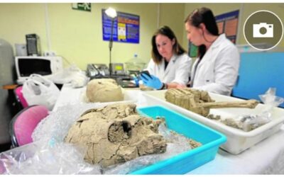Laboratorios de cinco provincias y de Londres hacen la ‘autopsia’ a los restos del arrabal