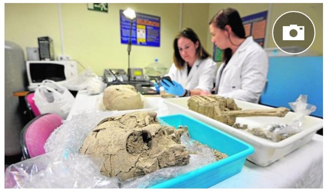 Laboratorios de cinco provincias y de Londres hacen la 'autopsia' a los restos del arrabal